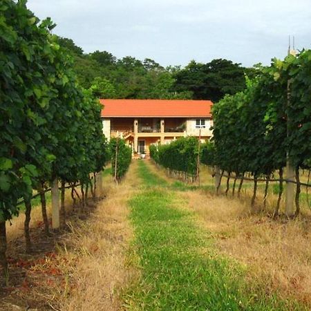 Granmonte Wine Cottage Phayayen Εξωτερικό φωτογραφία
