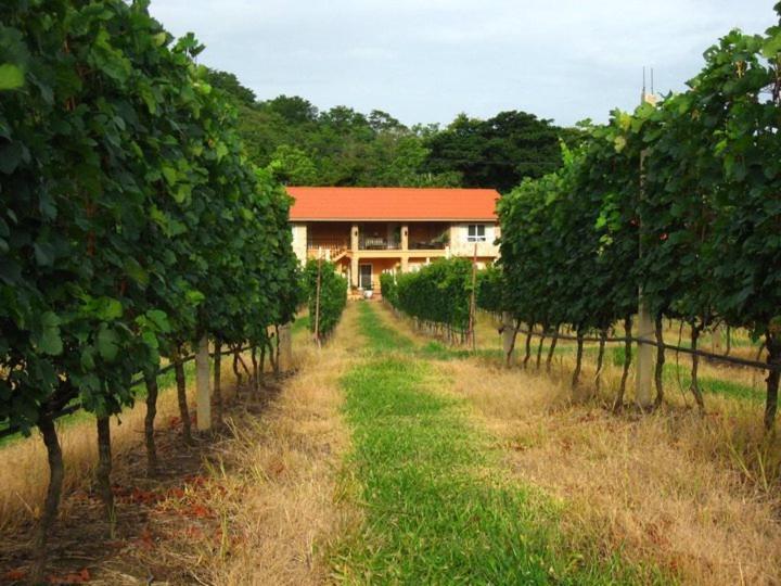 Granmonte Wine Cottage Phayayen Εξωτερικό φωτογραφία