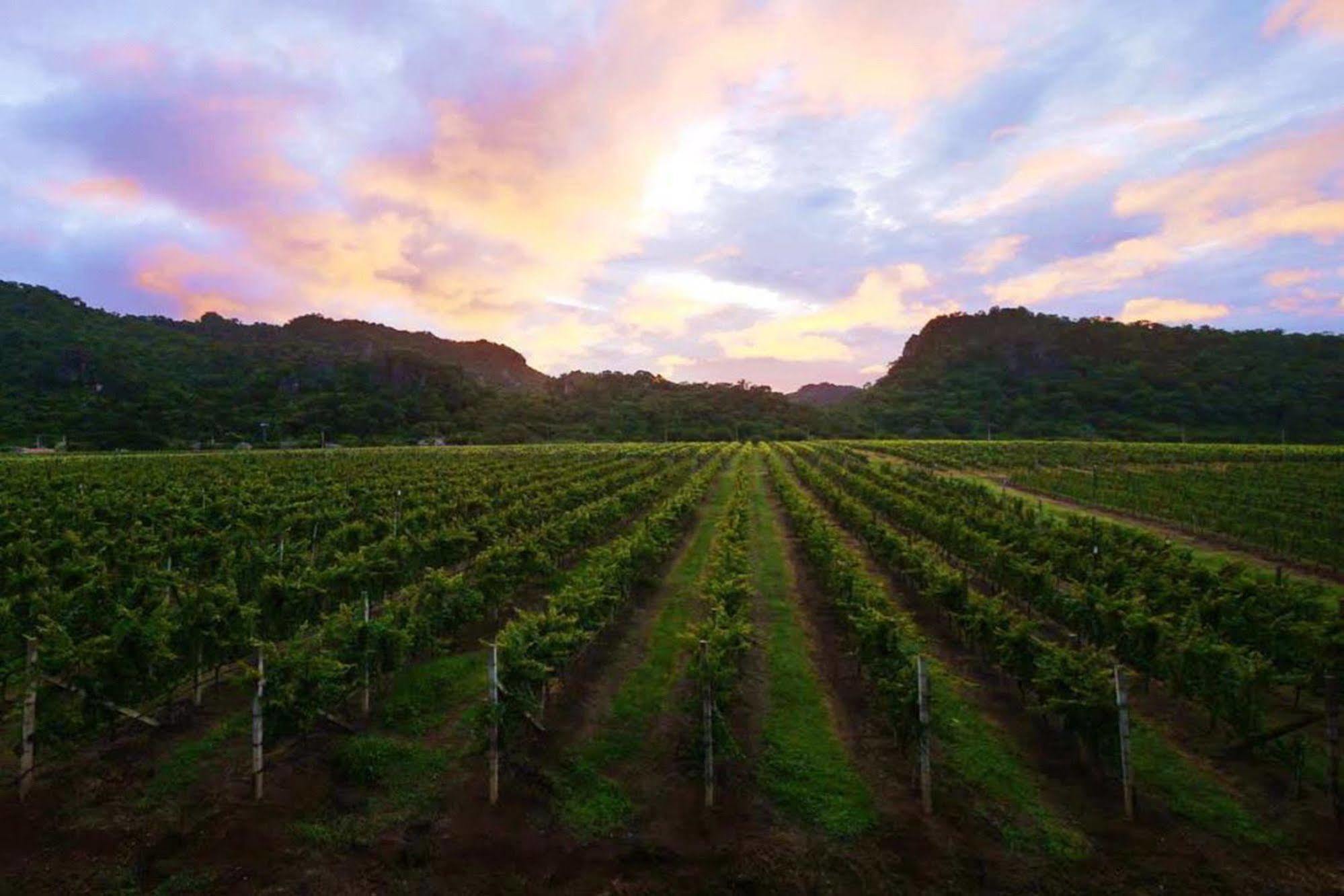Granmonte Wine Cottage Phayayen Εξωτερικό φωτογραφία