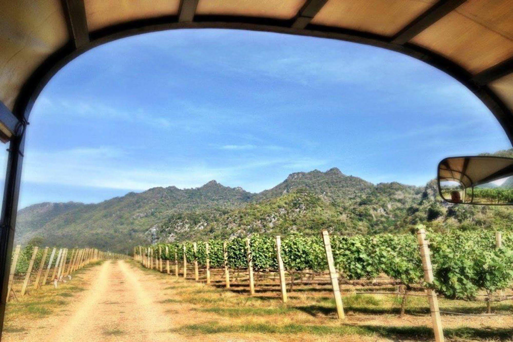 Granmonte Wine Cottage Phayayen Εξωτερικό φωτογραφία